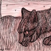 A_cat_poised_card