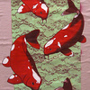 Koi_thumb