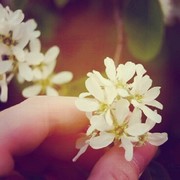 Img_20120609_231705_206010009_card