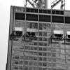 Dsc_0498_thumb