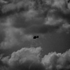 Dsc_0556_thumb