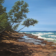 Img_0468_card
