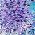 Laura_foley-1_tiny_square