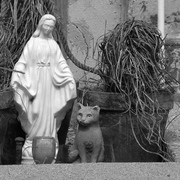 Img_3510_2_card