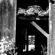 Barn_door_card