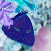 Arly_s_camera_085_thumb