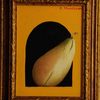 Still-life__pera_18x22cm_thumb