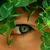 13x19_natureboy_tiny_square