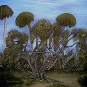 Small_fairy_s_island_hideaway_1_card