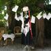 Poetry_tree_2012_square