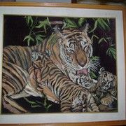 Tigers_card