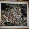 Tigers_thumb