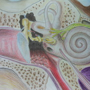 Dscn1053_card