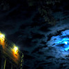 Dsc_1014edited_thumb