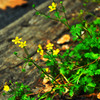 Dsc_1147edited_thumb