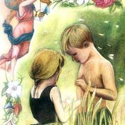 Luz_card