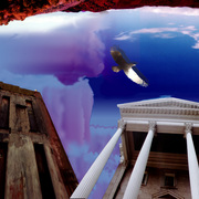 Hawk_world_perspective_card