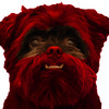 Miles_unfinished_thumb