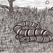 Coral_snake_in_the_grass_card