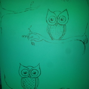 Owls_card