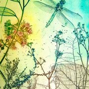 Aqua_etching__card