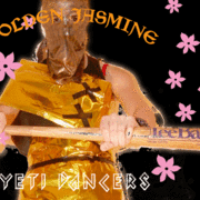 Gjyd_slugger2008_lg_card