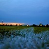 Dsc_0099_thumb