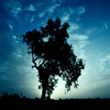 029_thumb