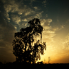 030_thumb