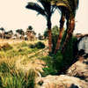 031_thumb