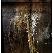 Levi_country_card