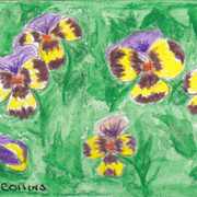 Img_card