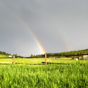 Img_1392_card