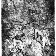 46_____newcomer__________16x10etching_____2012