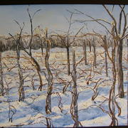 Dscf2035_card