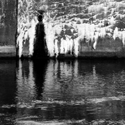 Img_7944_2_card