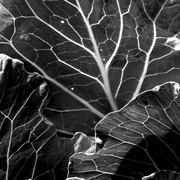 Img_0192_card