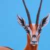 Impala_left_thumb