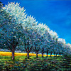 Orchard_row_thumb
