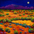 Midnight_sagebrush_tiny_square