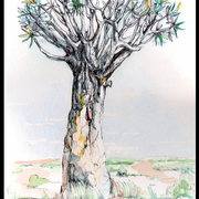 14_card