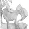 Elephantusque_med_thumb