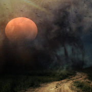 Alienskyphoto_card