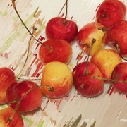 Cheri_s_jubilee_card