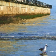 Pier_review_card