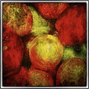 Spacefruit_card
