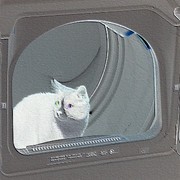 Cat_in_the_dryer_card