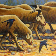 Sheeps_card