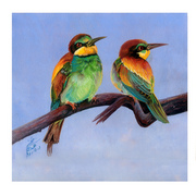 Untitled-1c_copy_card