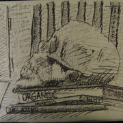 Img_2212_card